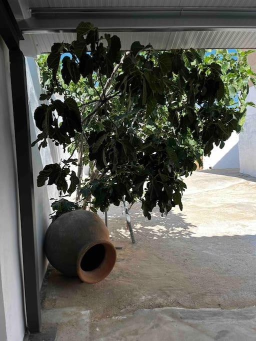 Agradable Casa Con Chimenea Interior Y Barbacoa. Villa Graja de Iniesta Luaran gambar